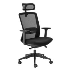 Aila Ergo Therapy High-Back Office Chair PCL-MHB-AHP, black ergonomic office chair with adjustable headrest, mesh backrest, cushioned seat, adjustable armrests, and rolling caster wheels. Aila Ergo Therapy High-Back Office Chair PCL-MHB-AHP, black ergonomic office chair with adjustable headrest, mesh backrest, cushioned seat, adjustable armrests, and rolling caster wheels.