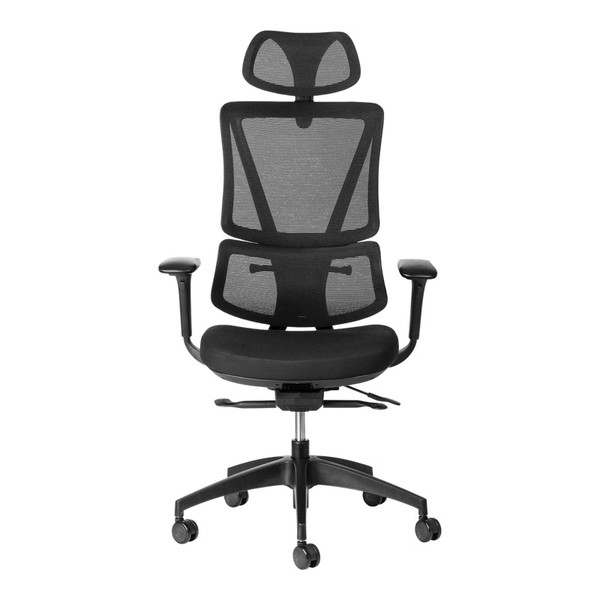 Ergoback Mesh High-Back Office Chair with Headrest