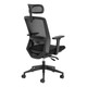 Aila Ergo Therapy High-Back Office Chair PCL-MHB-AHP, ergonomic office chair with a mesh backrest, adjustable armrests, and a high back for lumbar support.