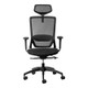 Fenix Mesh High-Back Office Chair with Headrest, ergonomic black office chair with adjustable armrests, headrest, and mesh back for breathability.