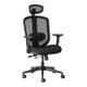 ErgoCurve Mesh High-Back Office Chair with Headrest, ergonomic black mesh office chair with adjustable headrest, armrests, and swivel base with wheels.