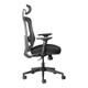 ErgoCurve Mesh High-Back Office Chair with Headrest, ergonomic office chair with adjustable armrests, mesh backrest, cushioned seat, and wheels for mobility.