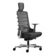 Spinelly Ergo High-Back Chair, modern ergonomic black office chair with mesh backrest, adjustable armrests, and a sturdy five-star base with caster wheels for mobility.
