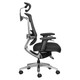 Alya Mesh High-back Office Chair, ergonomic black mesh chair with adjustable armrests, contoured back support, and a cushioned seat, featuring a modern design with a silver base and five caster wheels for mobility.