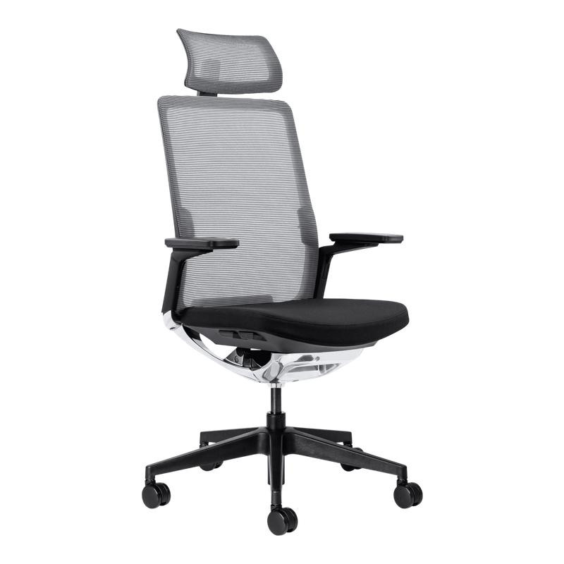 Evolv Mesh High-Back Office Chair with Headrest, ergonomic office chair featuring a breathable mesh backrest, adjustable headrest, padded seat, and five-wheel base for mobility.