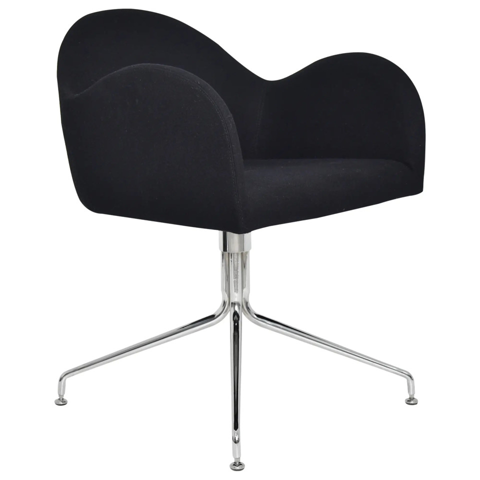 Modern Leisure Chair