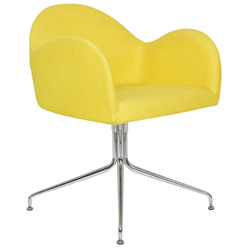 Modern Leisure Chair