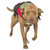 NRS CFD Dog Life Jacket - On Dog 4