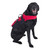 NRS CFD Dog Life Jacket - On Dog