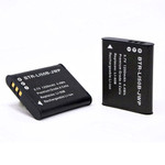 Replacement Battery Kit for Pentax WG-80 (2-Pack, 1200mAh) + Dual USB Charger