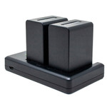Replacement Battery Kit for Sony HDR-CX230 (2-Pack, 3900mAh) + Dual USB Charger