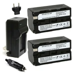 Replacement Battery Kit for Sony HDR-AX2000 (2-Pack, 4900mAh) + Charger with EU Plug & 12V Car Adapter