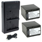 Replacement Battery Kit for Sony HDR-TD10 (2-Pack, 3900mAh) + Dual USB Charger
