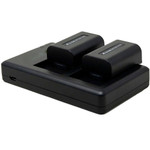 Replacement Battery Kit for Sony NP-FV30 (2-Pack, 1200mAh) + Dual USB Charger