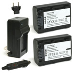 Replacement Battery Kit for Sony HDR-PJ260V (2-Pack, 1200mAh) + Charger & Car Adapter