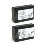 Replacement Battery Kit for Sony HDR-PJ260V (2-Pack, 1200mAh) + Charger & Car Adapter