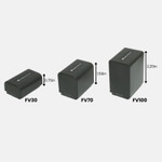 Replacement Battery Kit for Sony HDR-CX230 (2-Pack, 1200mAh) + Charger & Car Adapter