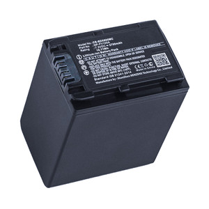 Replacement Battery for Sony FDR-AX60 (2700mAh)