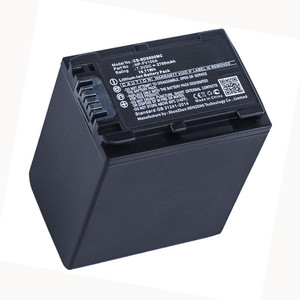 Replacement Battery for Sony HDR-PJ675 (2700mAh)