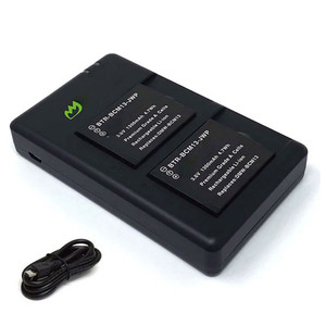 Replacement Battery Kit for Panasonic DMW-BCM13 (2-Pack, 1300mAh) + Dual USB Charger
