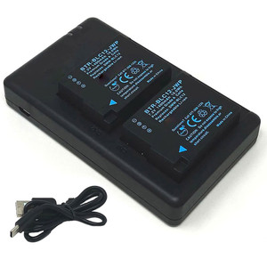 Replacement Battery Kit for Panasonic Lumix DC-FZ1000 II (2-Pack, 1400mAh) + Dual USB Charger