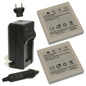 Replacement Battery Kit for Samsung L700S (2-Pack, 1300mAh) + Charger with EU Plug & 12V Car Adapter