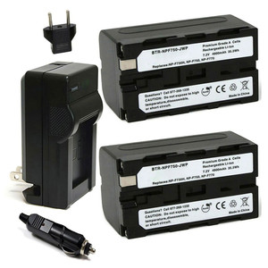 Replacement Battery Kit for Sony CCD-TR12 (2-Pack, 4900mAh) + Charger with EU Plug & 12V Car Adapter