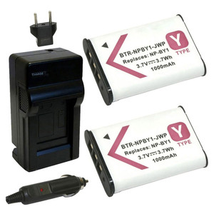 Replacement Battery Kit for Sony HDR-AZ1 Action Cam Mini (2-Pack, 1000mAh) + Charger & Car Adapter