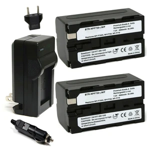 Replacement Battery Kit for Sony HDR-FX1000 (2-Pack, 4900mAh) + Charger with EU Plug & 12V Car Adapter