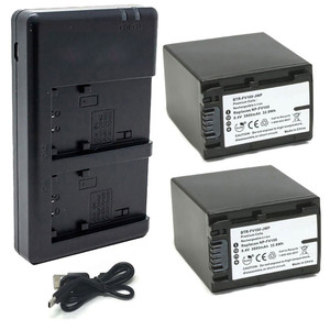 Replacement Battery Kit for Sony HDR-TD20V (2-Pack, 3900mAh) + Dual USB Charger