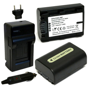 Replacement Battery Kit for Sony HDR-TG5V (2-Pack, 1300mAh) + Charger & Car Adapter