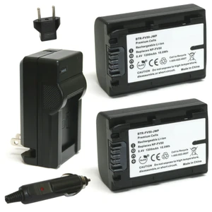 Replacement Battery Kit for Sony HDR-PJ810 (2-Pack, 1200mAh) + Charger & Car Adapter