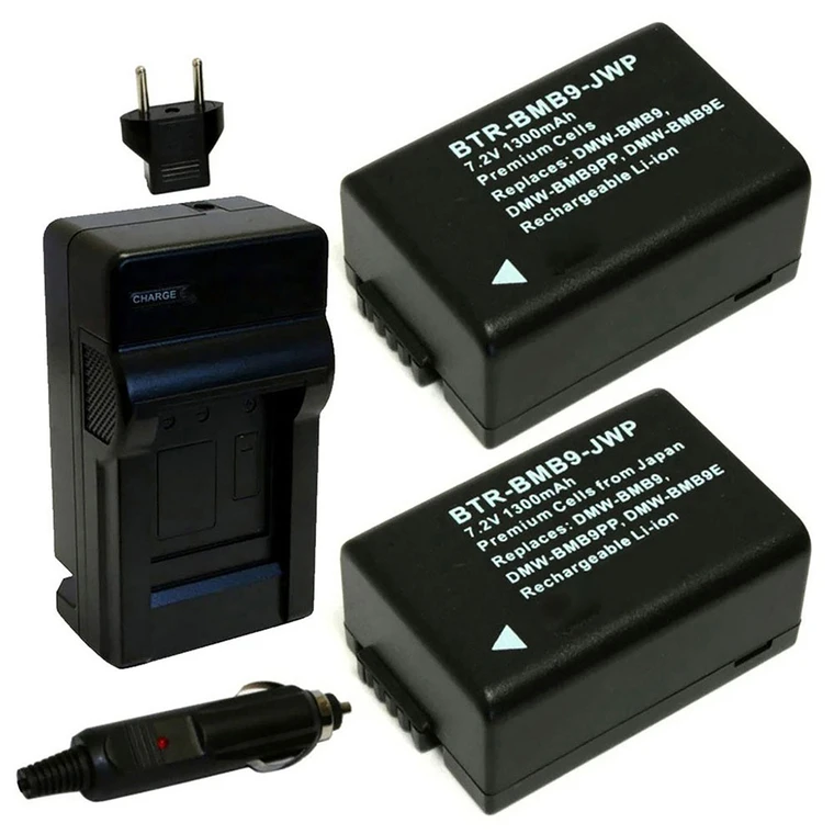Replacement Battery Kit for Panasonic Lumix DC-FZ80 (2-Pack, 1300mAh) + Charger & Car Adapter