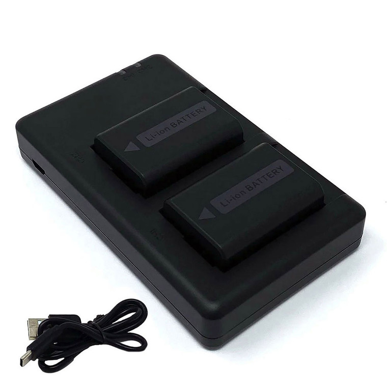 Replacement Battery Kit for Sony DSC-RX10 (2-Pack, 1300mAh) + Dual USB Charger