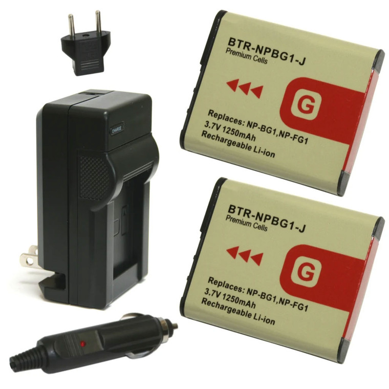 Replacement Battery Kit for Sony Cyber-shot DSC-W290 (2-Pack, 1250mAh) + Charger & Car Adapter