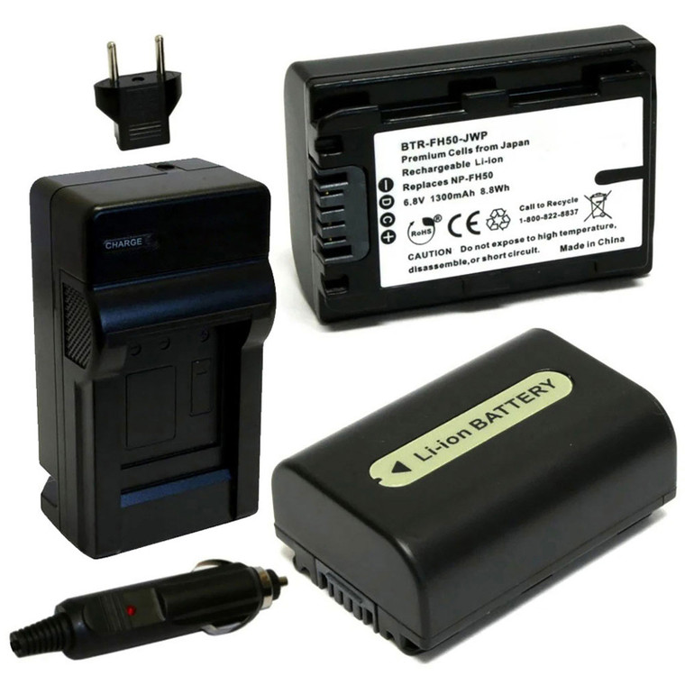 Replacement Battery Kit for Sony DSC-HX100V (2-Pack, 1300mAh) + Charger & Car Adapter