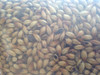 Briess 2-Row Brewers Malt 1 Lb