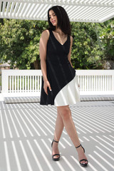 The Midnight Silhouette Dress