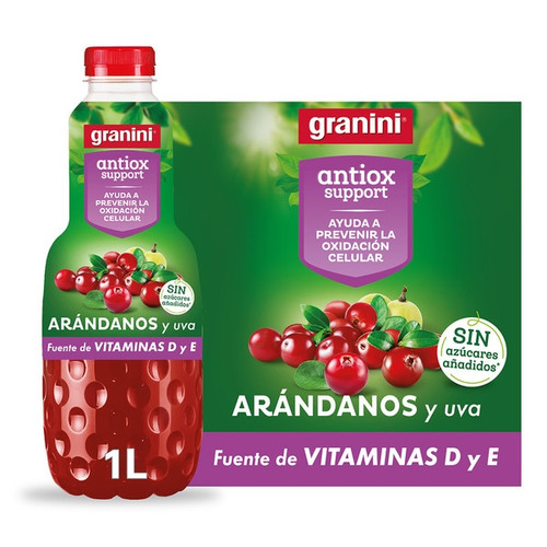 ANTIOX 1L(GRANINI)