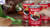 Serena Sardina al Tomate Pica Pica 425 g paquete de 6