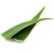 Aloe Vera Fresco 1 Unidad