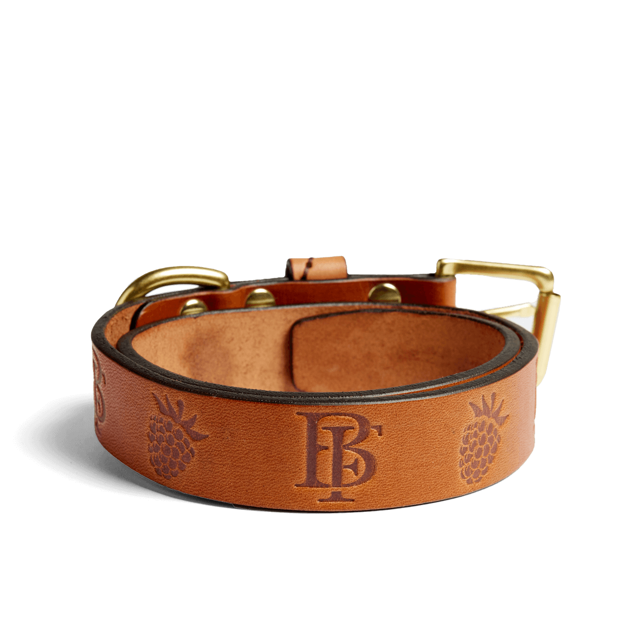 Southern Living Embossed Leather & Tortoise Charm Dog Collar