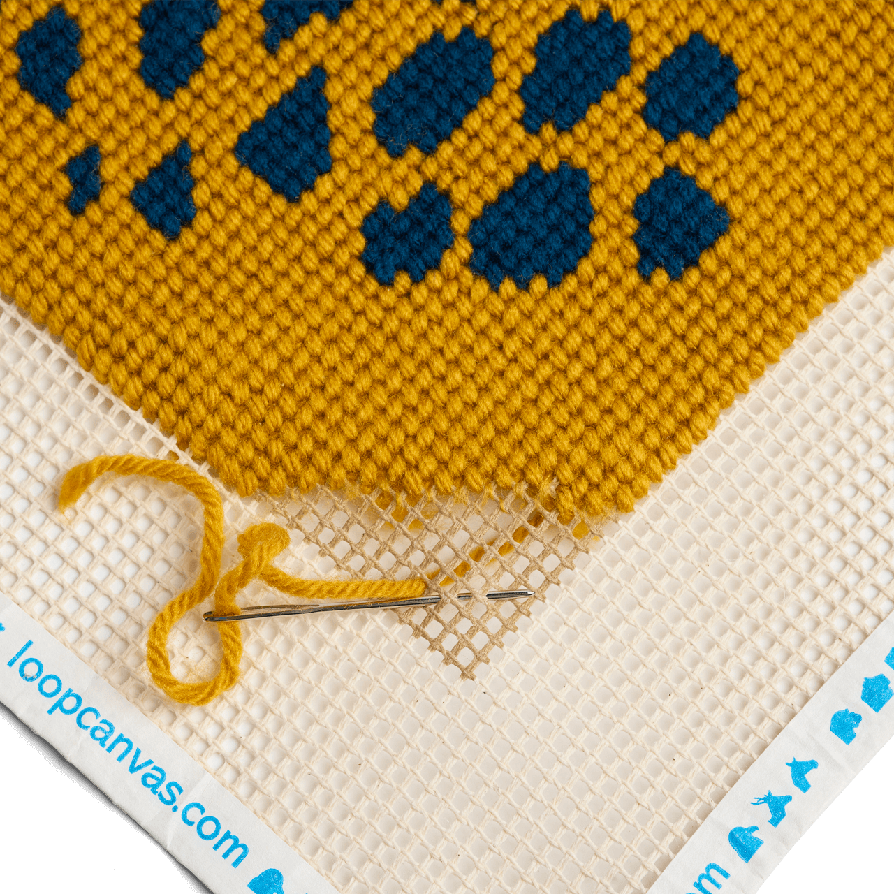 Large Canvas Needlepoint Kit