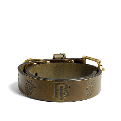 Southern Living Embossed Leather & Tortoise Charm Dog Collar