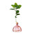 Acorn Vase Pink