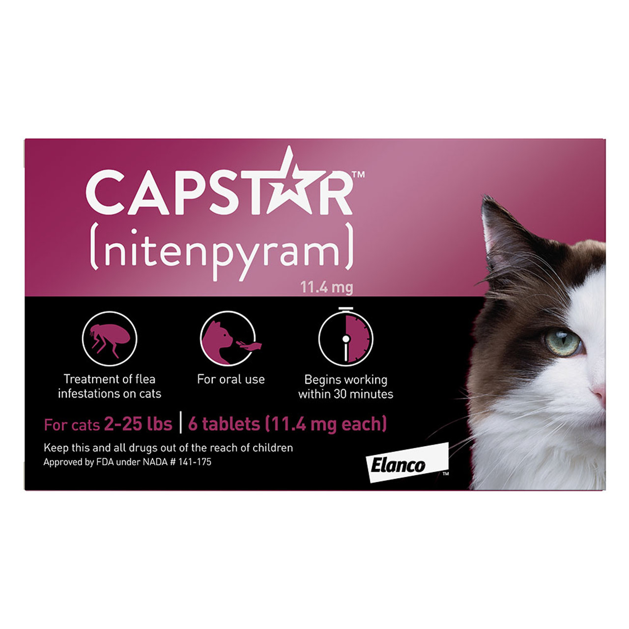flea medicine for cats