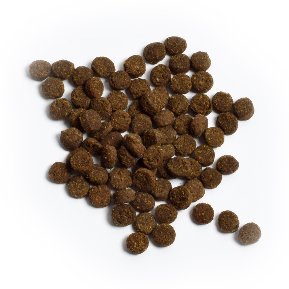 Picture of Open Farm Grain Free Pasture-Raised Lamb Recipe Dry Cat Food