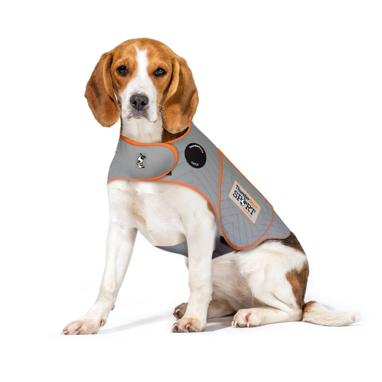 Dog calming jacket clearance