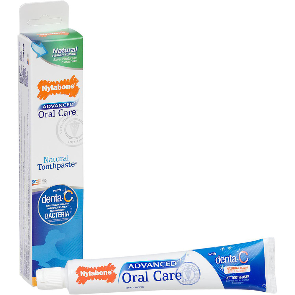 nylabone advanced oral care toothpaste