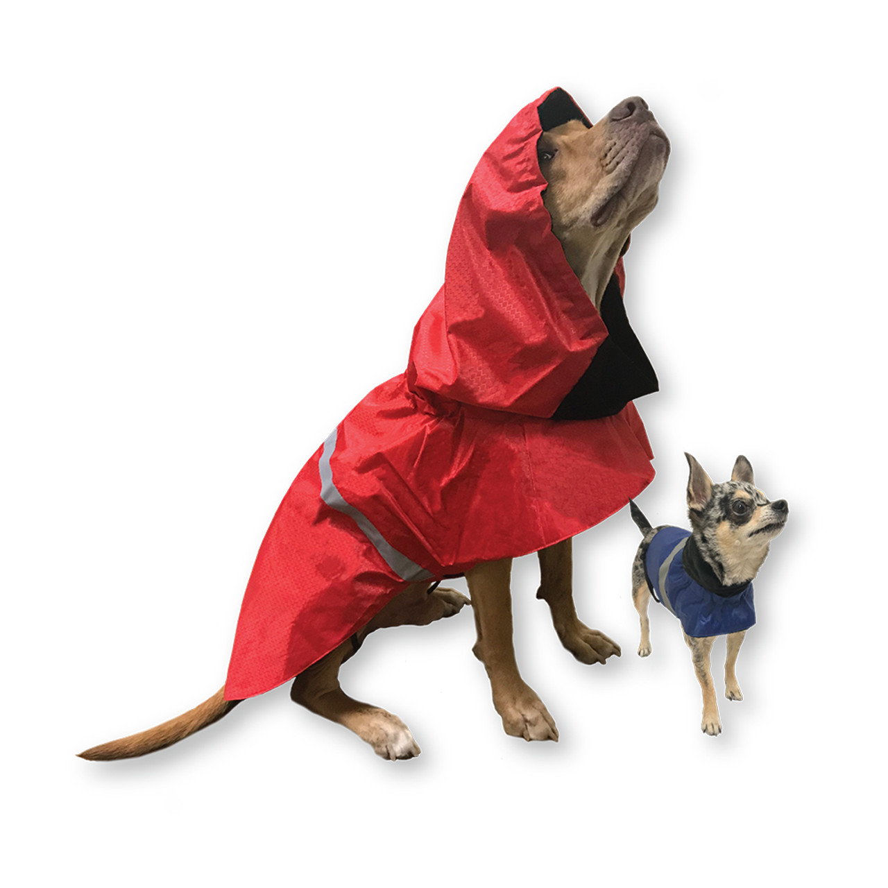Pet Food Express Rain Poncho for Dogs